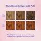Permanent Hair Colour Set